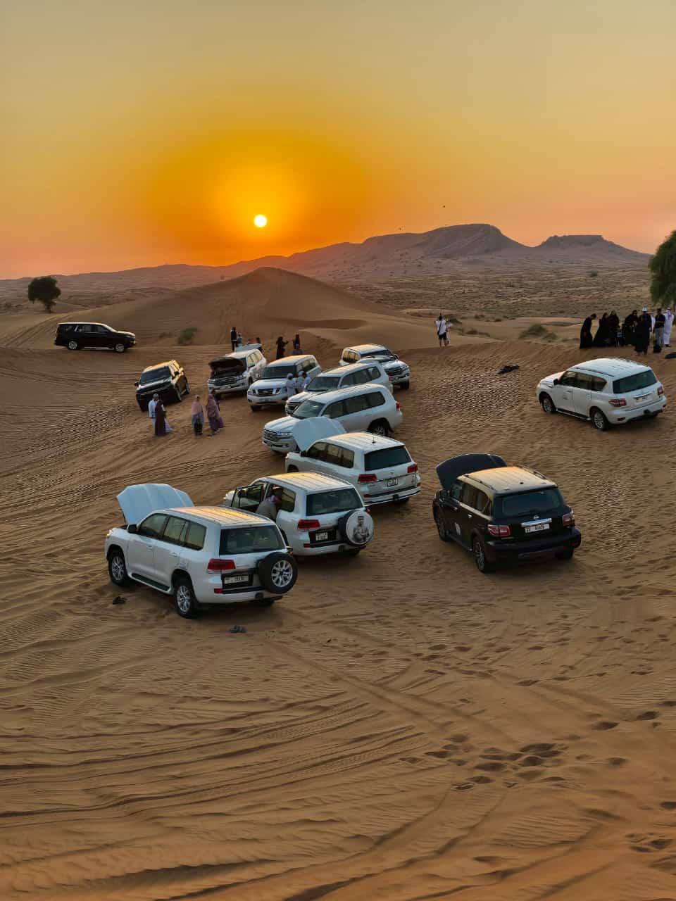Premium Desert Safari: Extreme Red Dunes Bashing